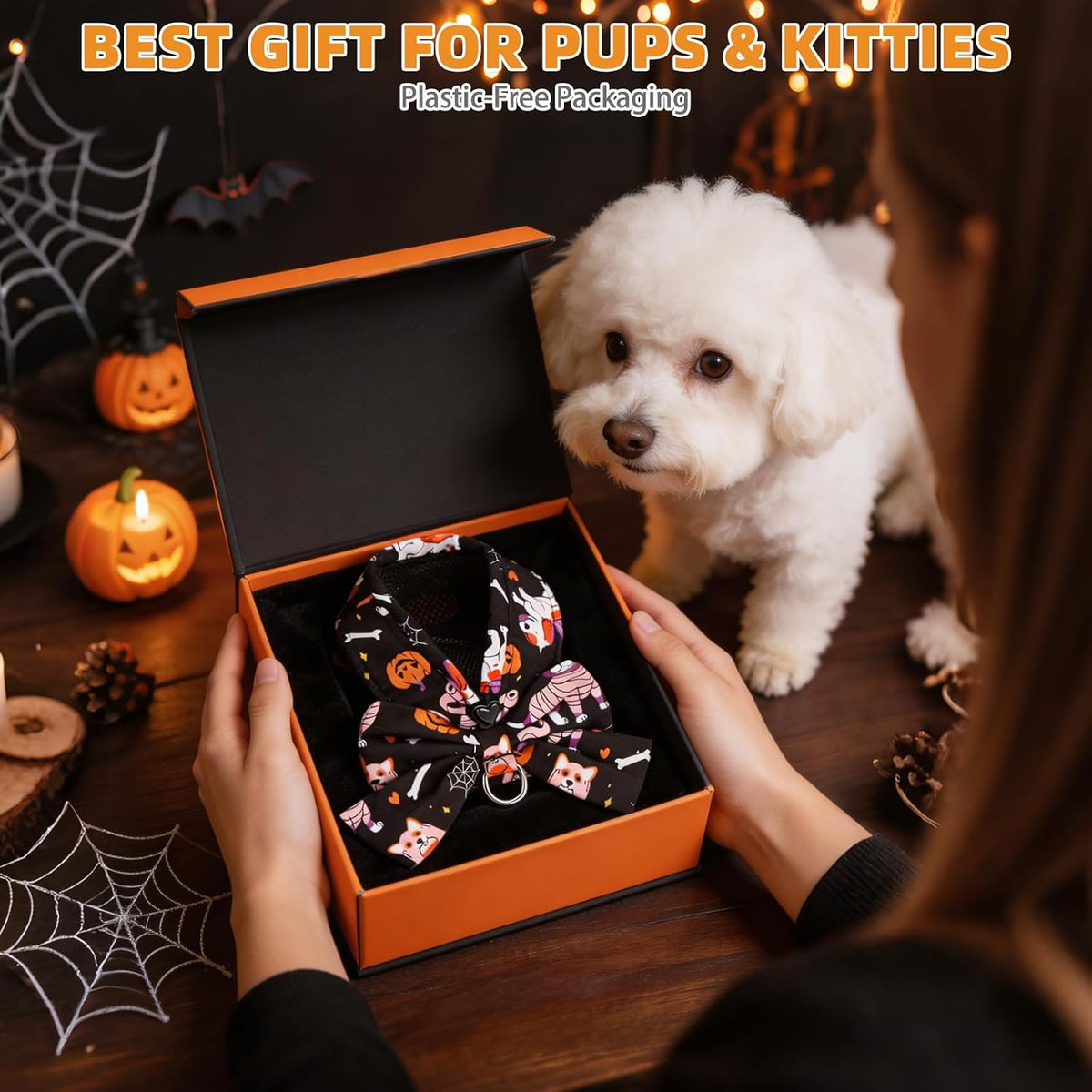KOOLTAIL Halloween Dog Harness and Leash Set for Small Medium Sized Dogs Cats, Cute Puppy Vest Harnesses with Bowtie, Step in No Pull Soft Mesh Padded Adjustable Pet Harness Boys Girls, Pumpkin M