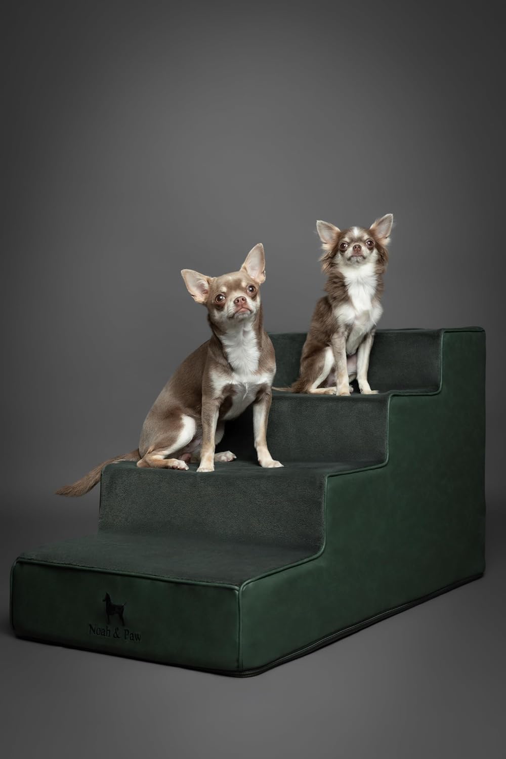 Noah & Paw Dog Steps for Bed, Up to 150lb, Extra Wide Dog Stairs for Bed