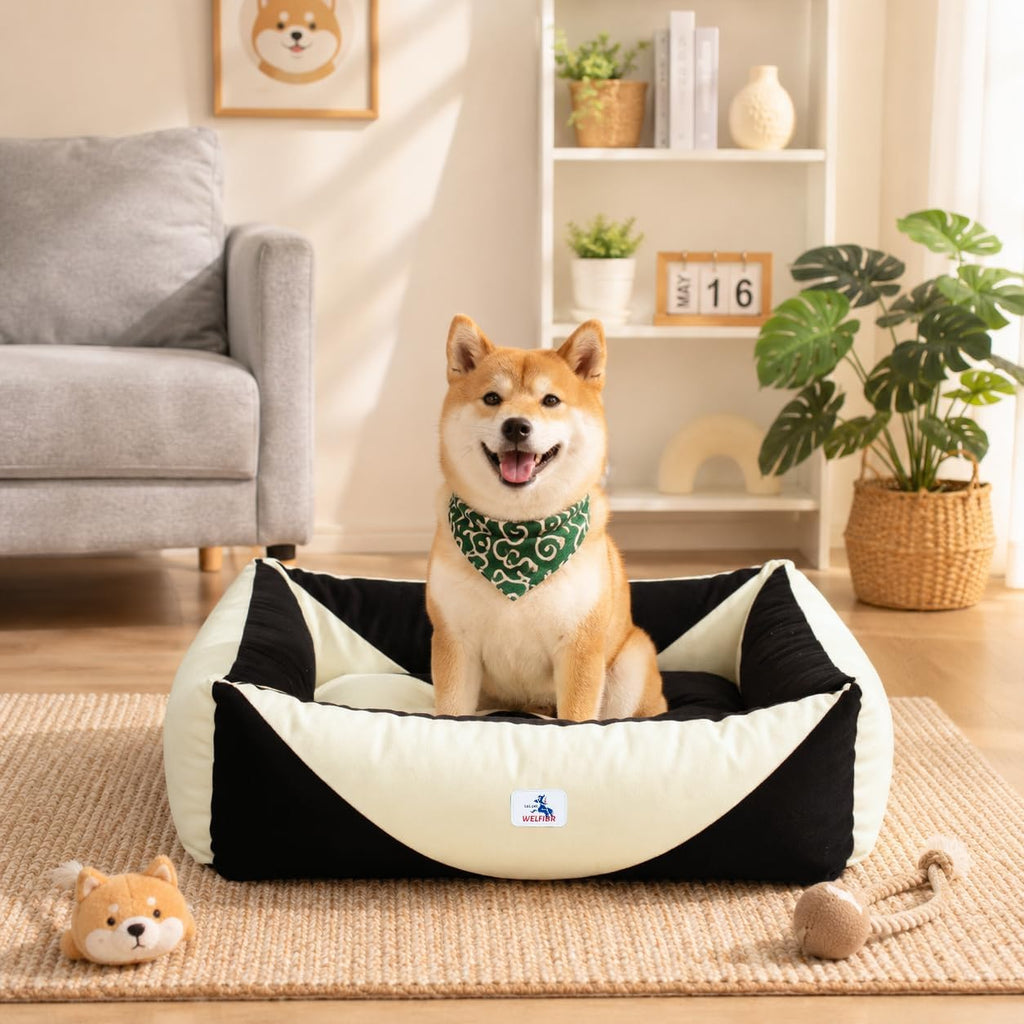 Cotton Canvas Dog Bed (290gsm Thick) 30"x25"x10" Durable Waterproof