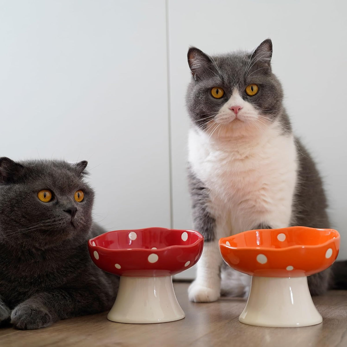 Orange Mushroom Cat Bowl, Elevated Ceramic Bowl for Cats | Elevated, Ceramic, Whisker Friendly, Anti Vomitin,Cute Mushroom Design