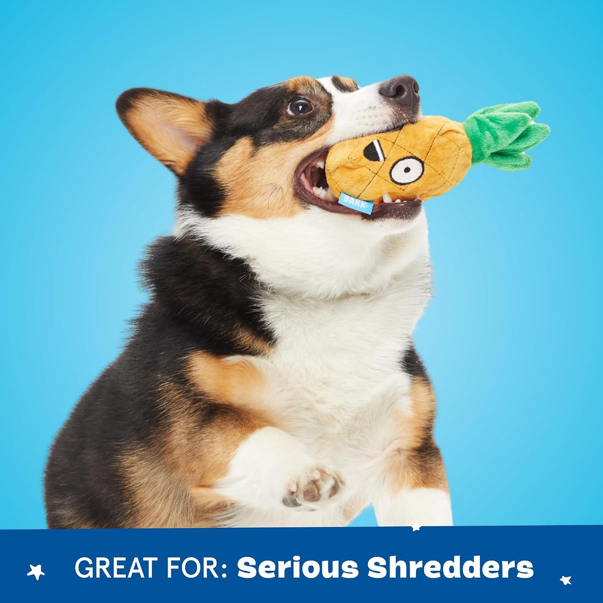 BarkBox Penny The Pineapple 2-in-1 Interactive Plush Dog Toy | Squeaky Dog Chew Toy with Crinkle Layers and Ball Inside - For Small Dogs and Puppies