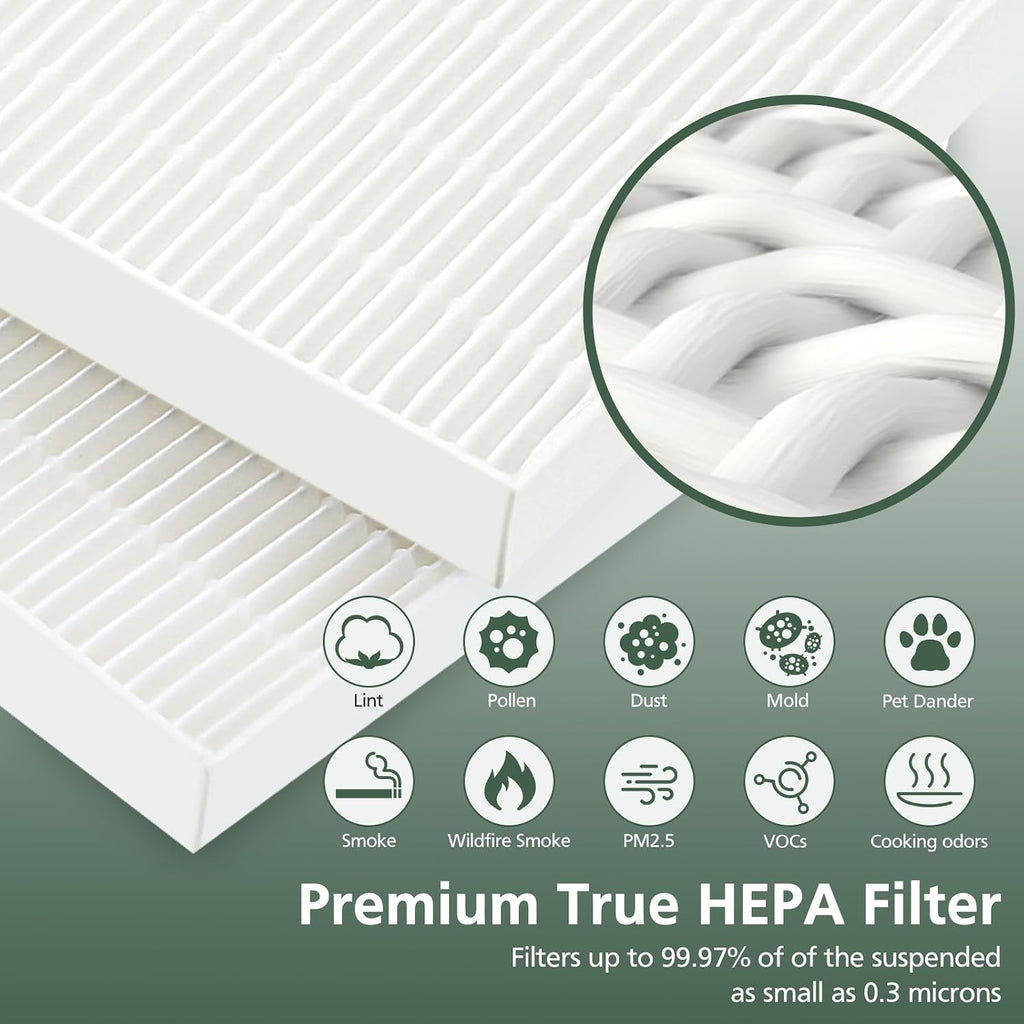 116130 Filter H For Winix 5500-2 Plasmawave & AM80 Air Purifier 2 HEPA Only