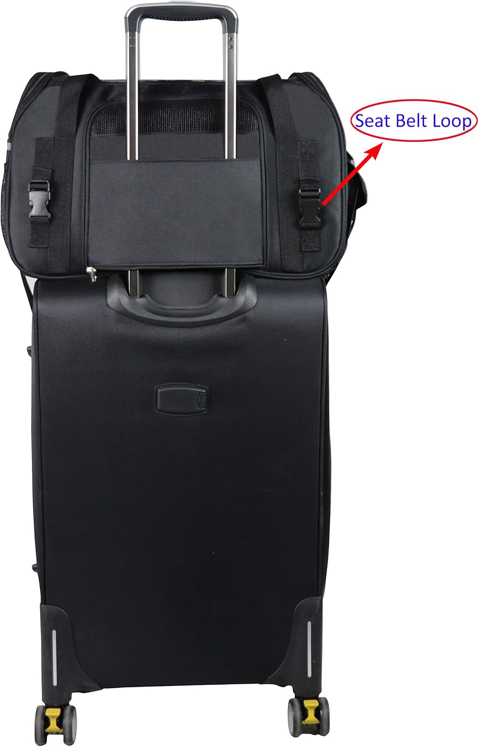 EliteField Soft-Sided Pet Carrier for Cats & Small Dogs (3-Year Warranty)