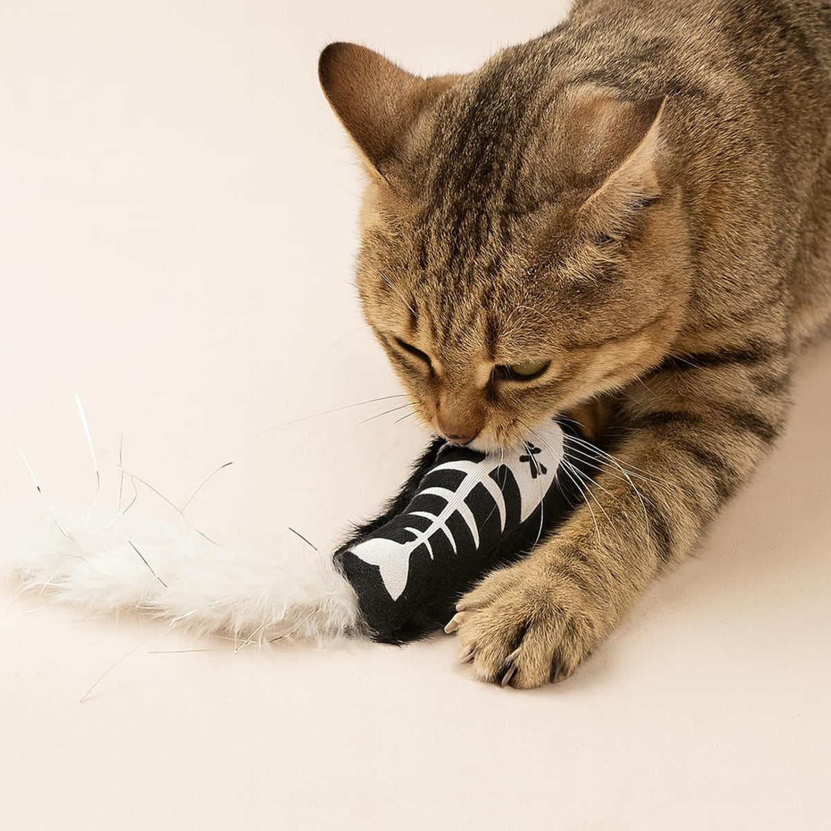 Halloween Cat Toys – 2-Pack Interactive Plush Fishbone and Mouse Bone Catnip Toys with Feather Tails for Indoor Cats