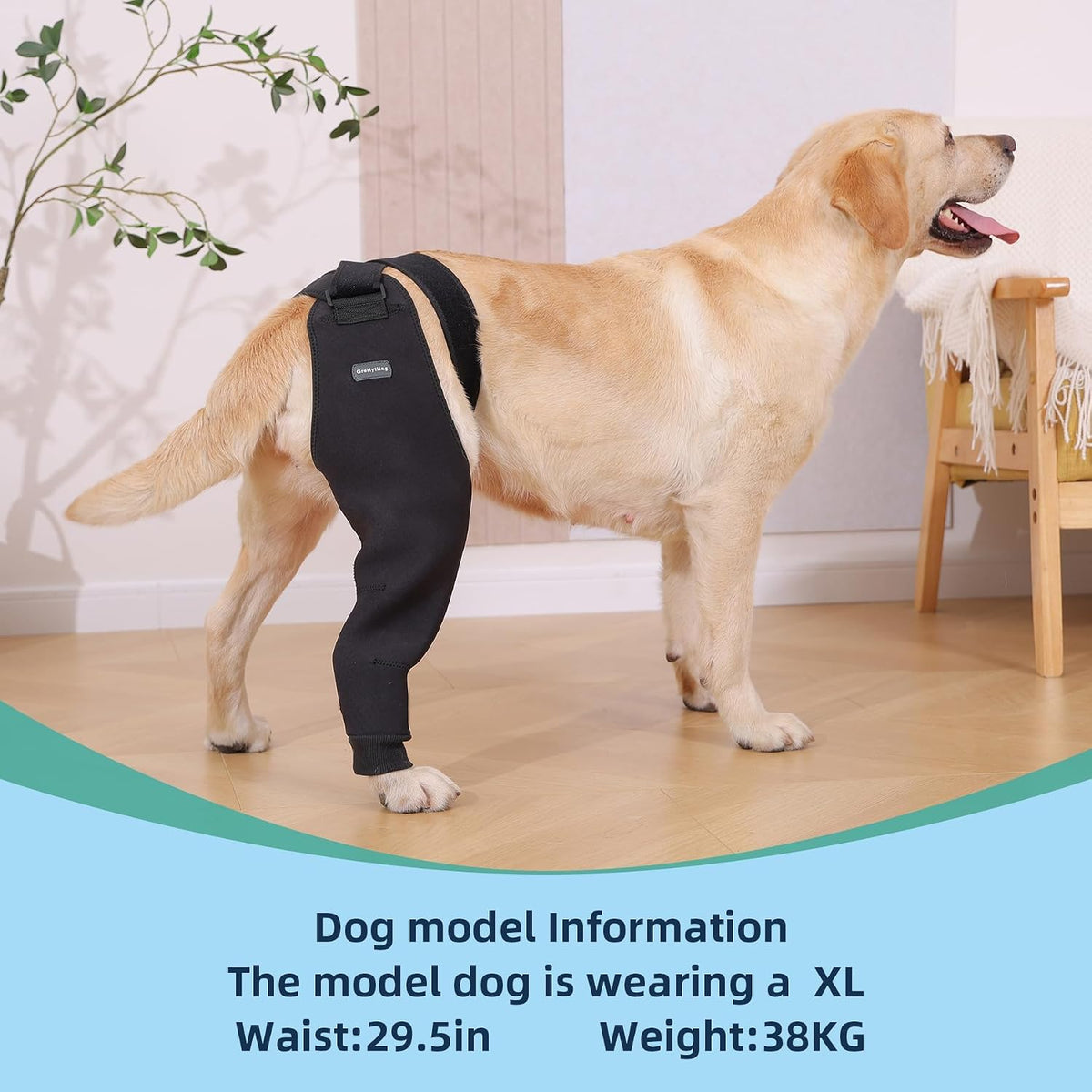 Single Dog Rear Leg Sleeve to Stop Licking, Breathable Dog Recovery Suit for Post Surgery, Comfortable Back Leg Sleeve for Wound Healing,Alternative to Cone Collars (2XLarge)
