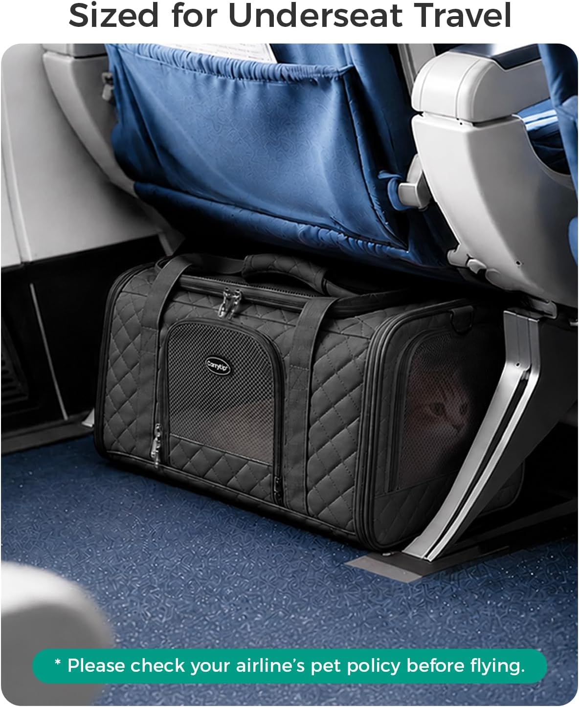 Cat Carrier Airline Approved, Soft Pet Carrier, 17x11x9.5 in, Black