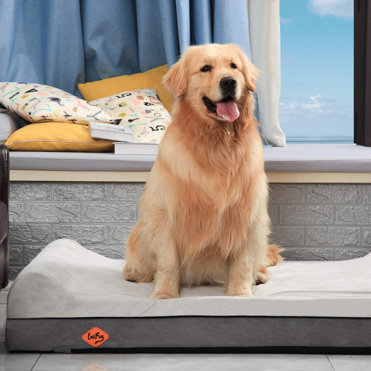 Laifug Orthopedic Dog Bed, Dark Grey 50''x36''x10'', Memory Foam