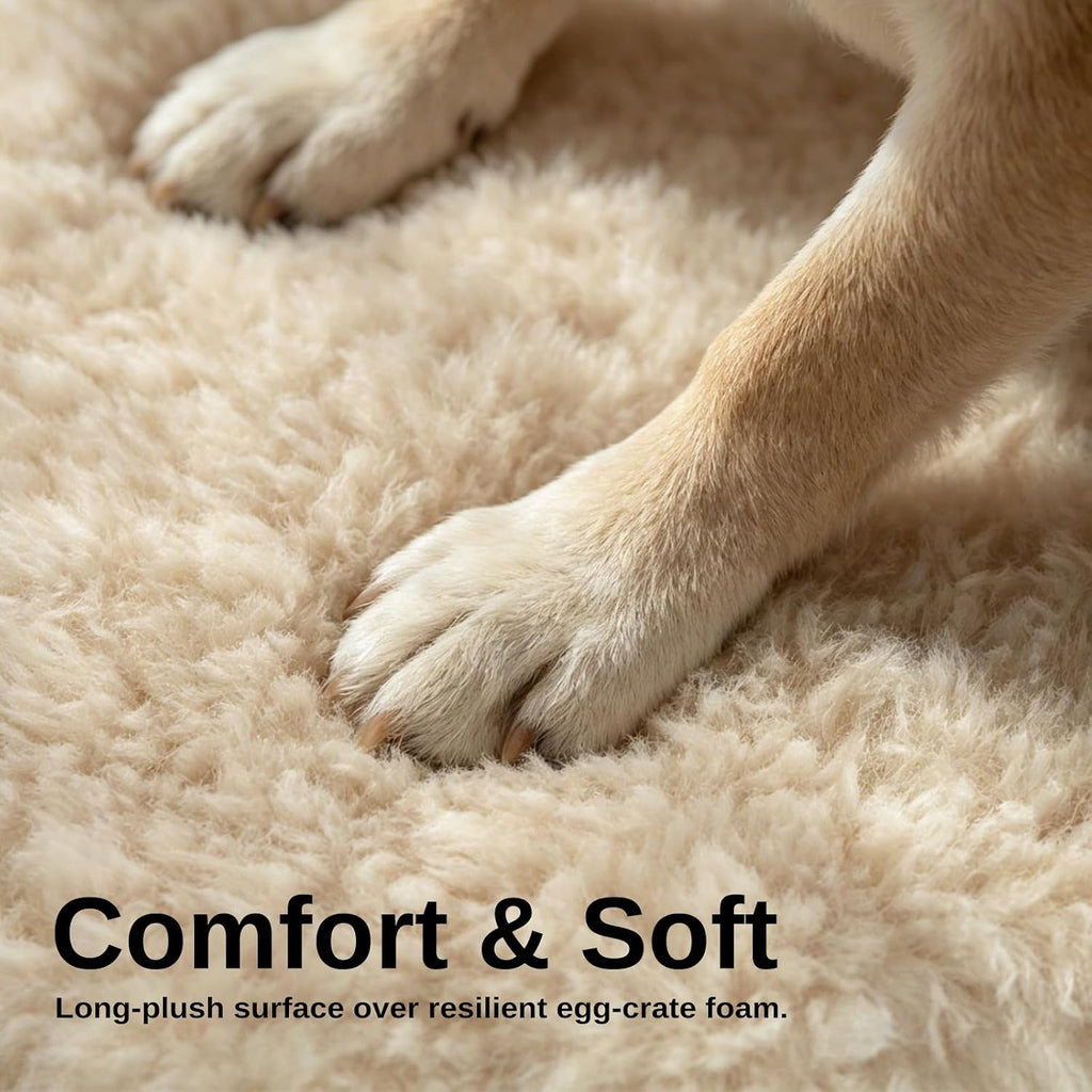 Orthopedic Dog Bed for Small Dogs, Egg Crate Foam, Non-Slip Bottom,Beige