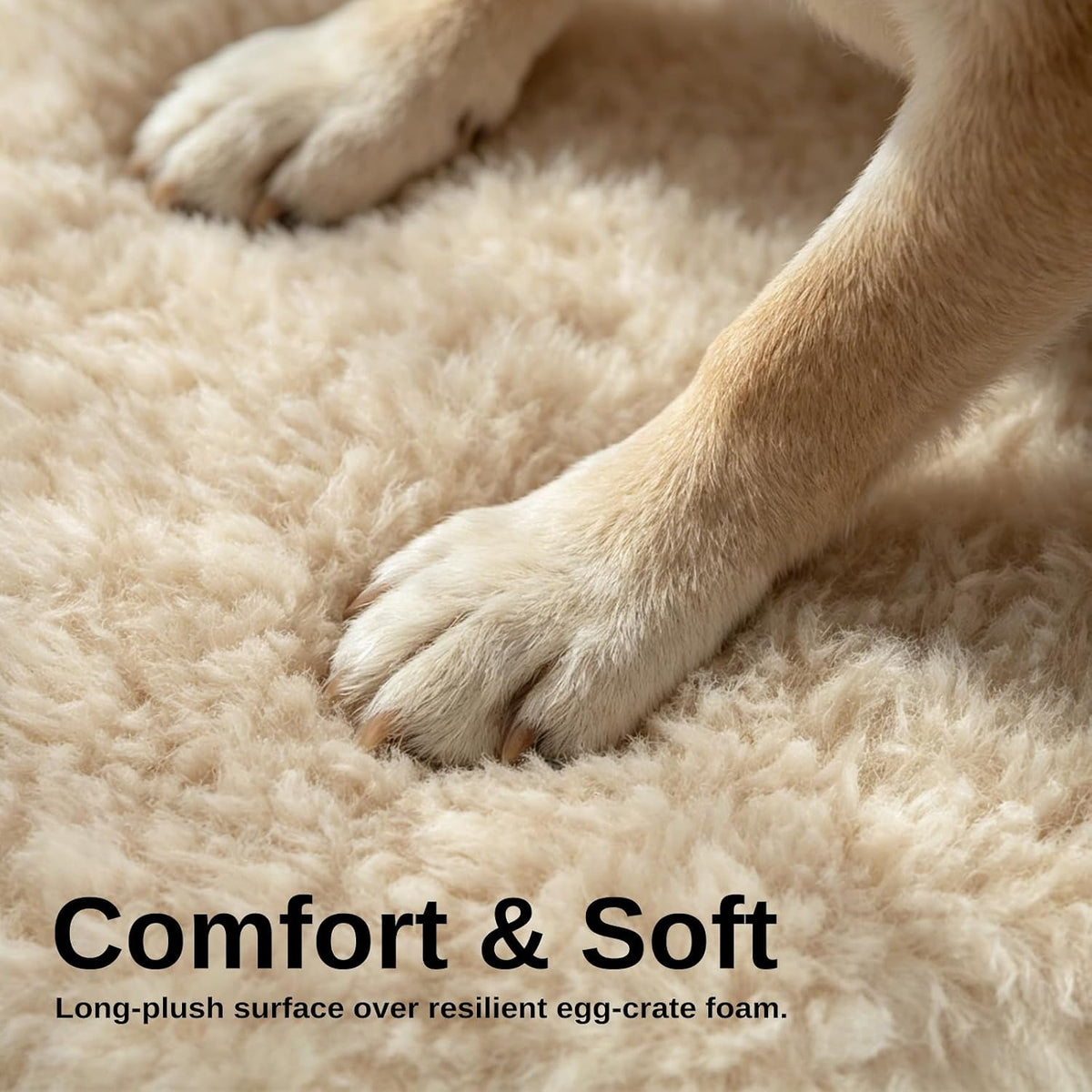 Orthopedic Dog Bed for Small Dogs, Egg Crate Foam, Non-Slip Bottom,Beige