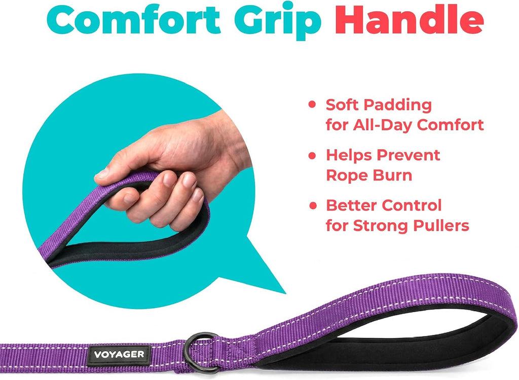 Best Pet Supplies Voyager Nylon Dog Leash - Purple, Small