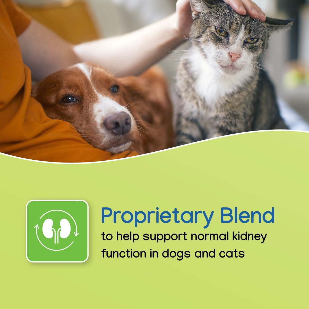 NEPHRODYL Synbiotic Capsules for Cats & Dogs, Kidney Support, 60ct
