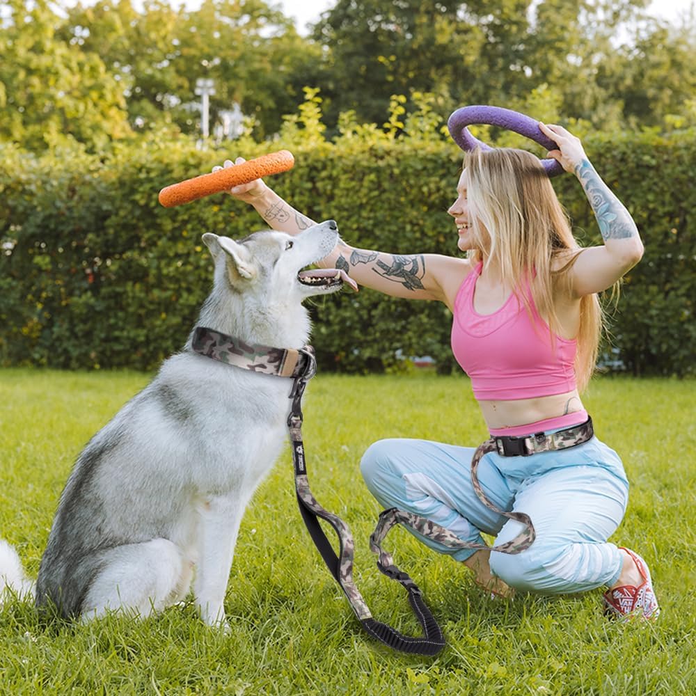 TSPRO Shock Absorbing Hands-Free Bungee Dog Leash with Car Safety Tether
