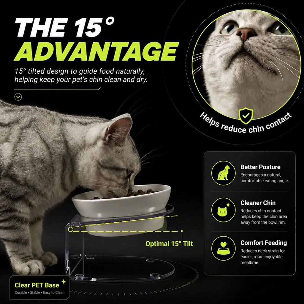 LivLab Mker Elevated Cat Bowls, Tilted Melamine, White, 2 Pack | Two tilted melamine bowls support comfortable feeding for cats, kittens, flat-faced pets, and small dogs; white finish.