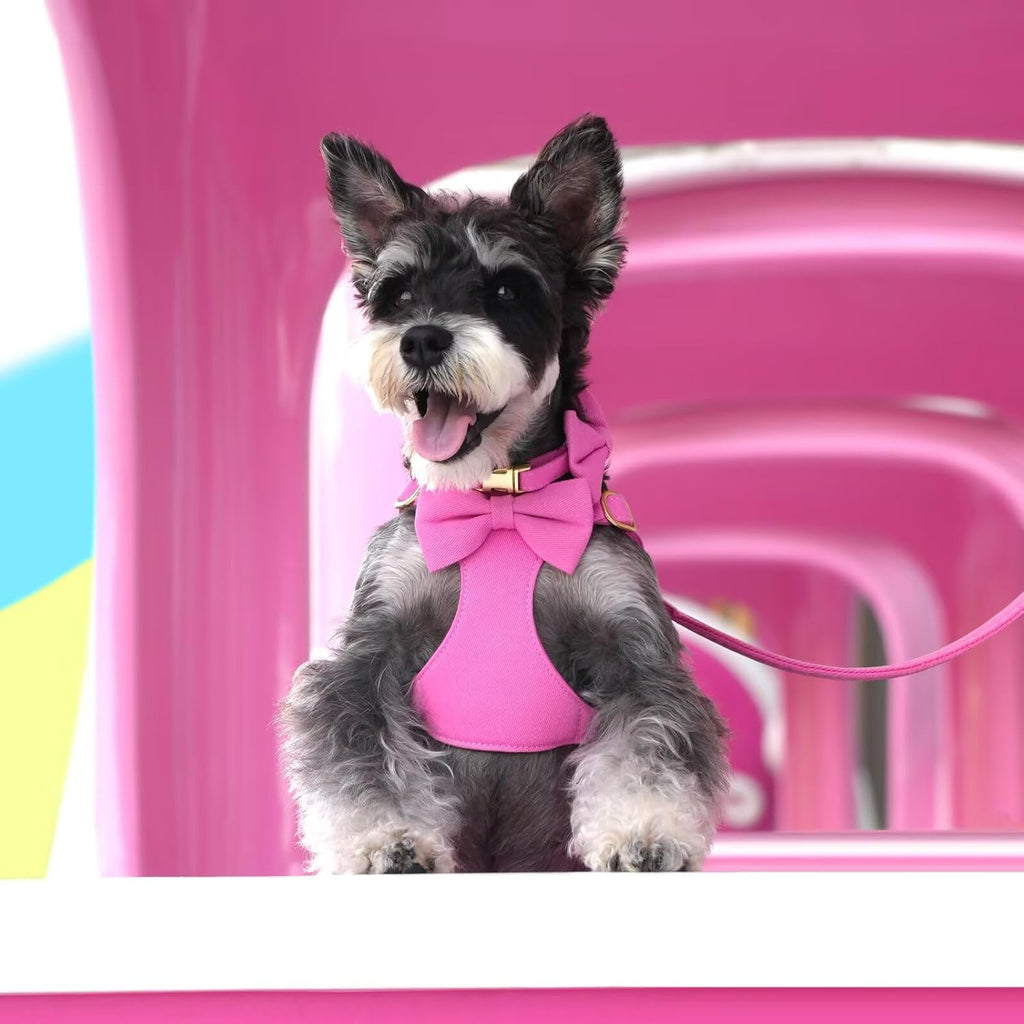 Beirui Cute Small Dog Harness Collar and Leash Set, Rose,S,Chest 17-23"