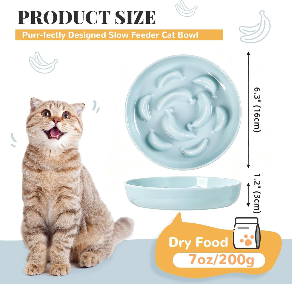 Melamine Cat Slow Feeder Bowl - Pastel Series Cat Plate for Dry and Wet Food - Cute Maze Feeder Dish for Healthy Eating - Dishwasher Safe - 6.3''W x 1.2''H - 7 OZ - Pale Blue