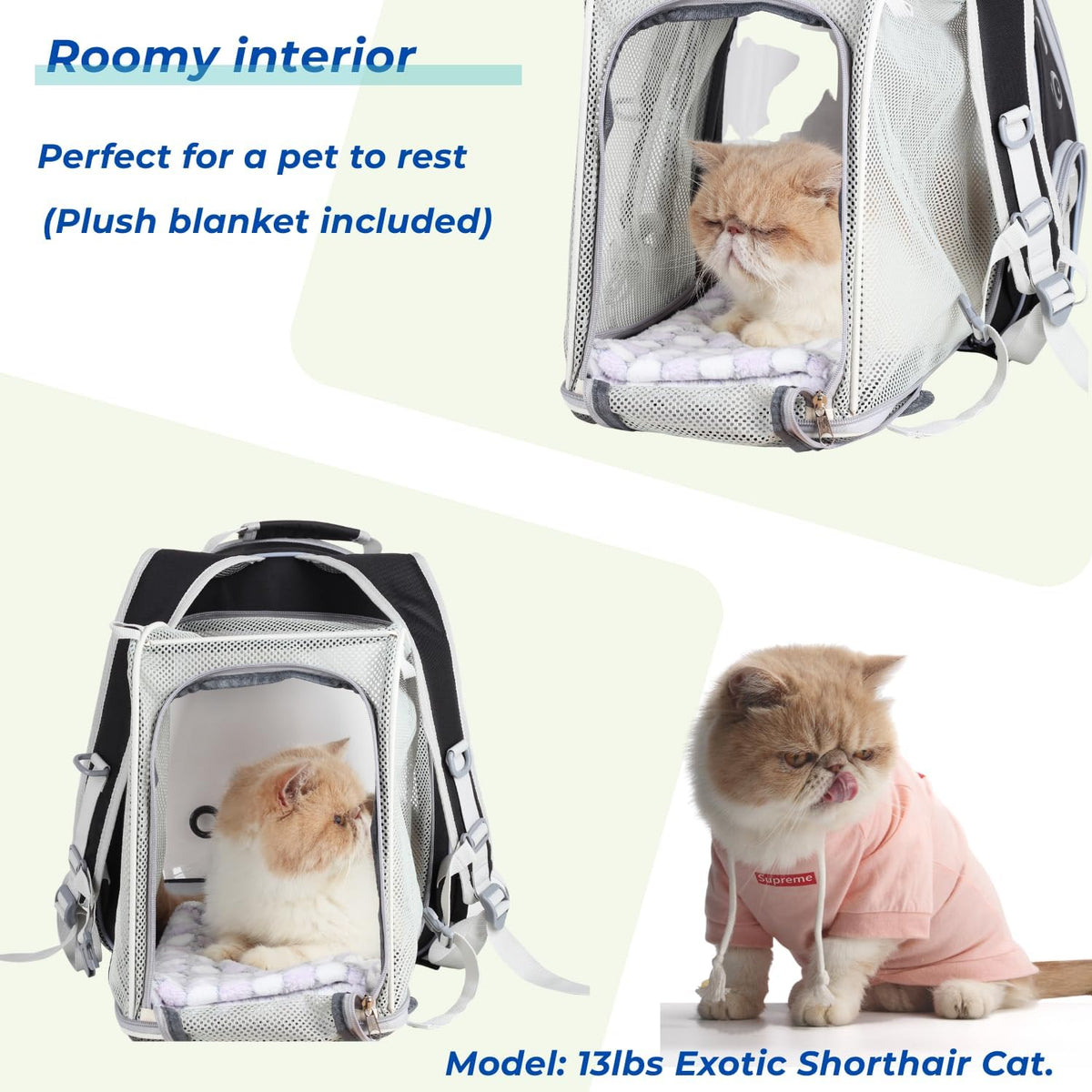 Lollimeow Expandable Bubble Cat Carrier Backpack, Supports up to 14 lbs