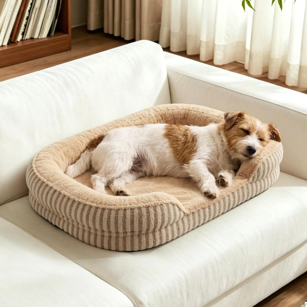 MIXJOY Orthopedic Dog Beds Large Sized Dog,Washable XXL Large Dog Bed,48"
