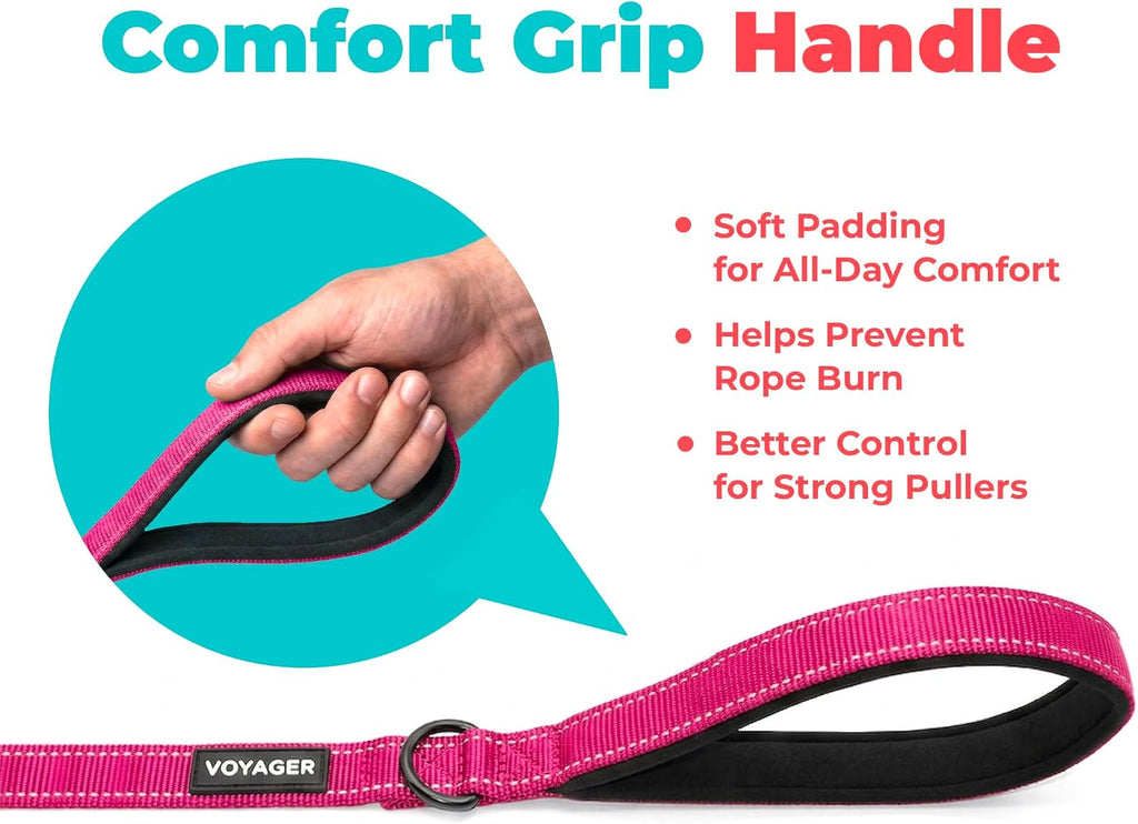 Best Pet Supplies Voyager Nylon Dog Leash - Fuchsia, Medium
