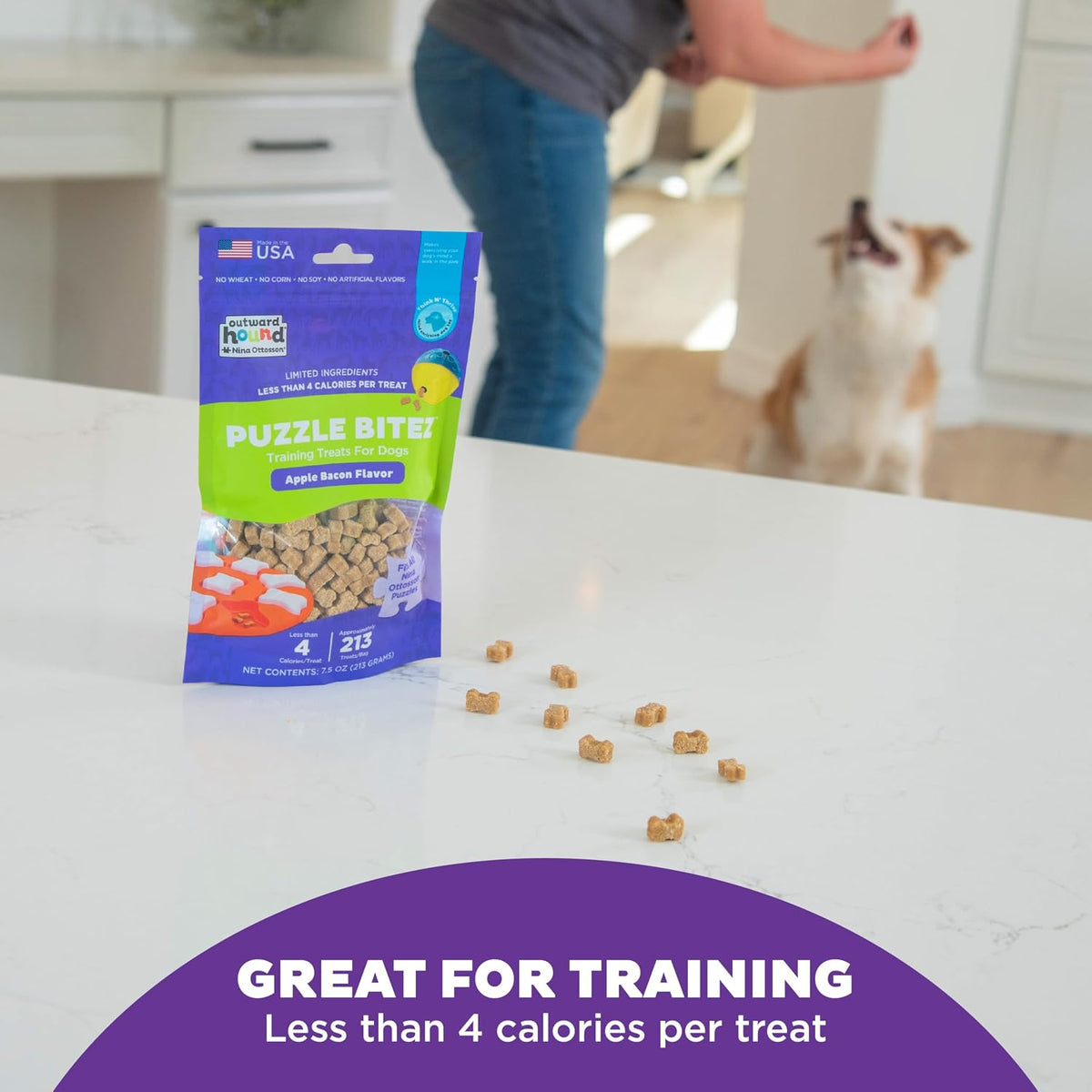 Outward Hound Nina Ottosson Puzzle Bitez Dog Treats, Apple Bacon, 7.5 oz