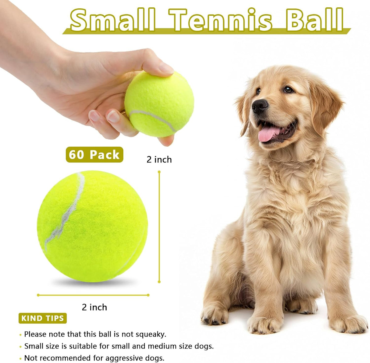 Magicorange Small Tennis Balls, 60 Pack 2 inch Tennis Balls for Dogs | Colorful Easy Catching,Playing Ball for Small Medium Breed Dogs,Bright Fluorescent Multicolor,with Mesh Bag
