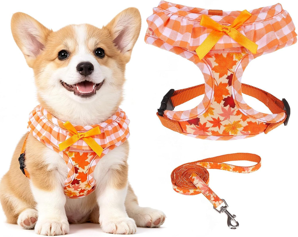 EXPAWLORER Fall Dog Harness and Leash Set Small Sized