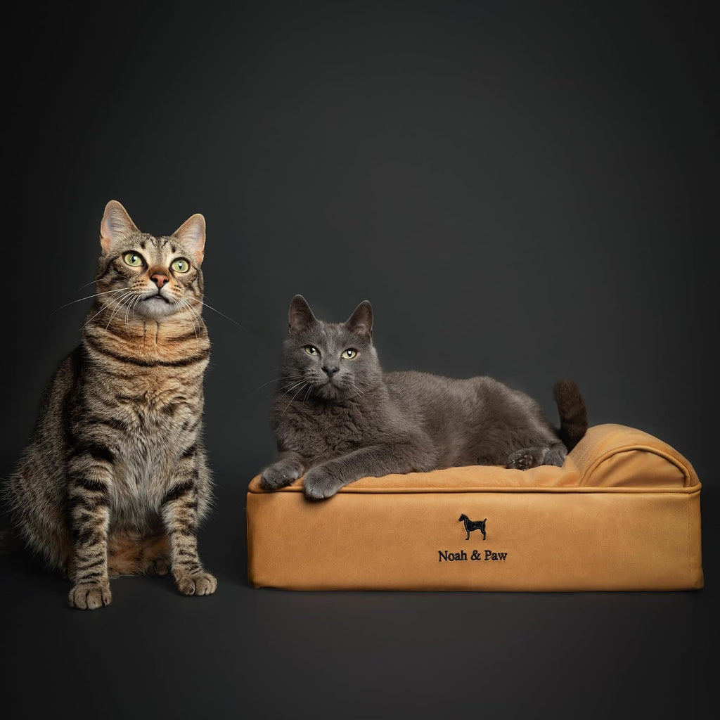 NOAH & PAW Small Cat & Dog Bed Orthopedic Cooling Memory Foam 20x15x6.5