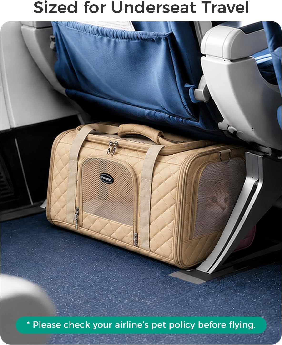 Cat Carrier Airline Approved, Soft Pet Carrier, 17x11x9.5 in, Brown