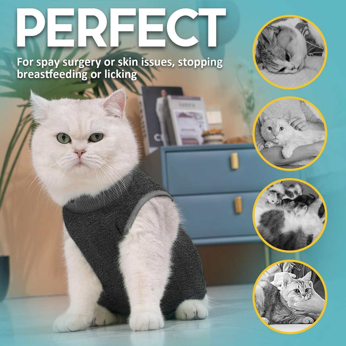 Avont Cat Recovery Suit - Kitten Onesie for Cats After Surgery