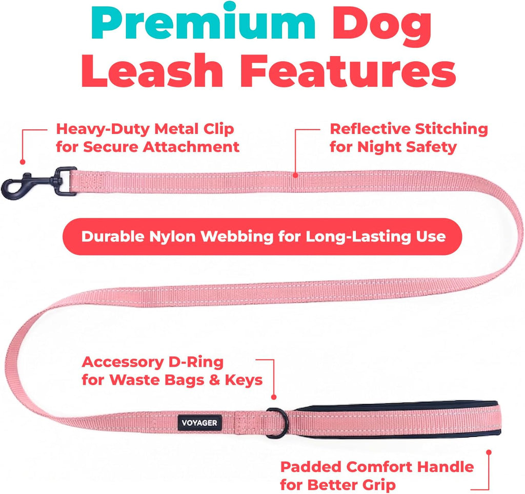 Best Pet Supplies Voyager Nylon Dog Leash - 6ft Pink, Large