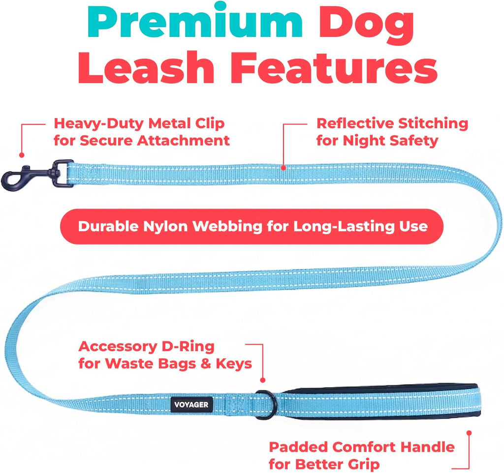 Best Pet Supplies Voyager Nylon Dog Leash - Baby Blue, Medium