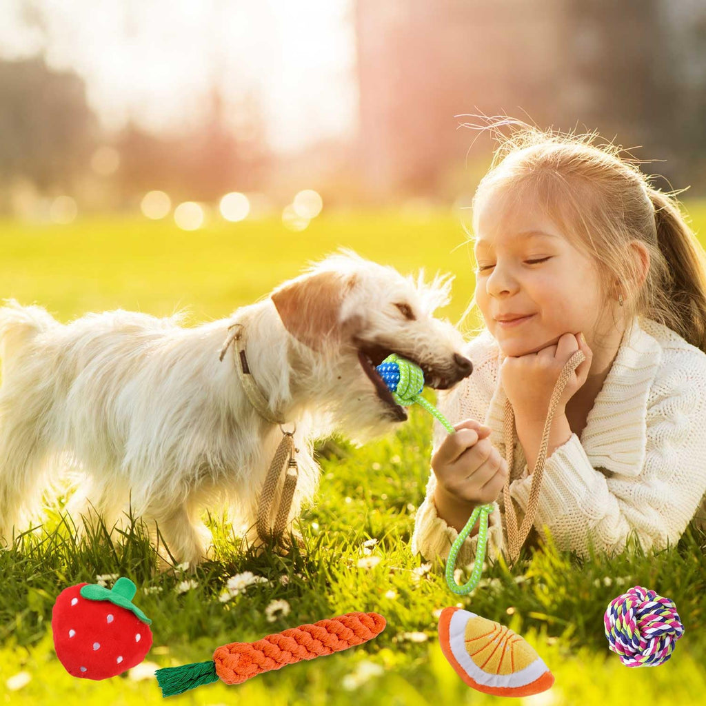 MRSOHRET Puppy Chew Toys for Teething, Dog Toys for Aggressive Chewers | 18 Pcs Interactive Dog Toys for Puppies, Puppy Toy Bundle with Squeaky and Rope for Small Dogs to Keep Them Busy