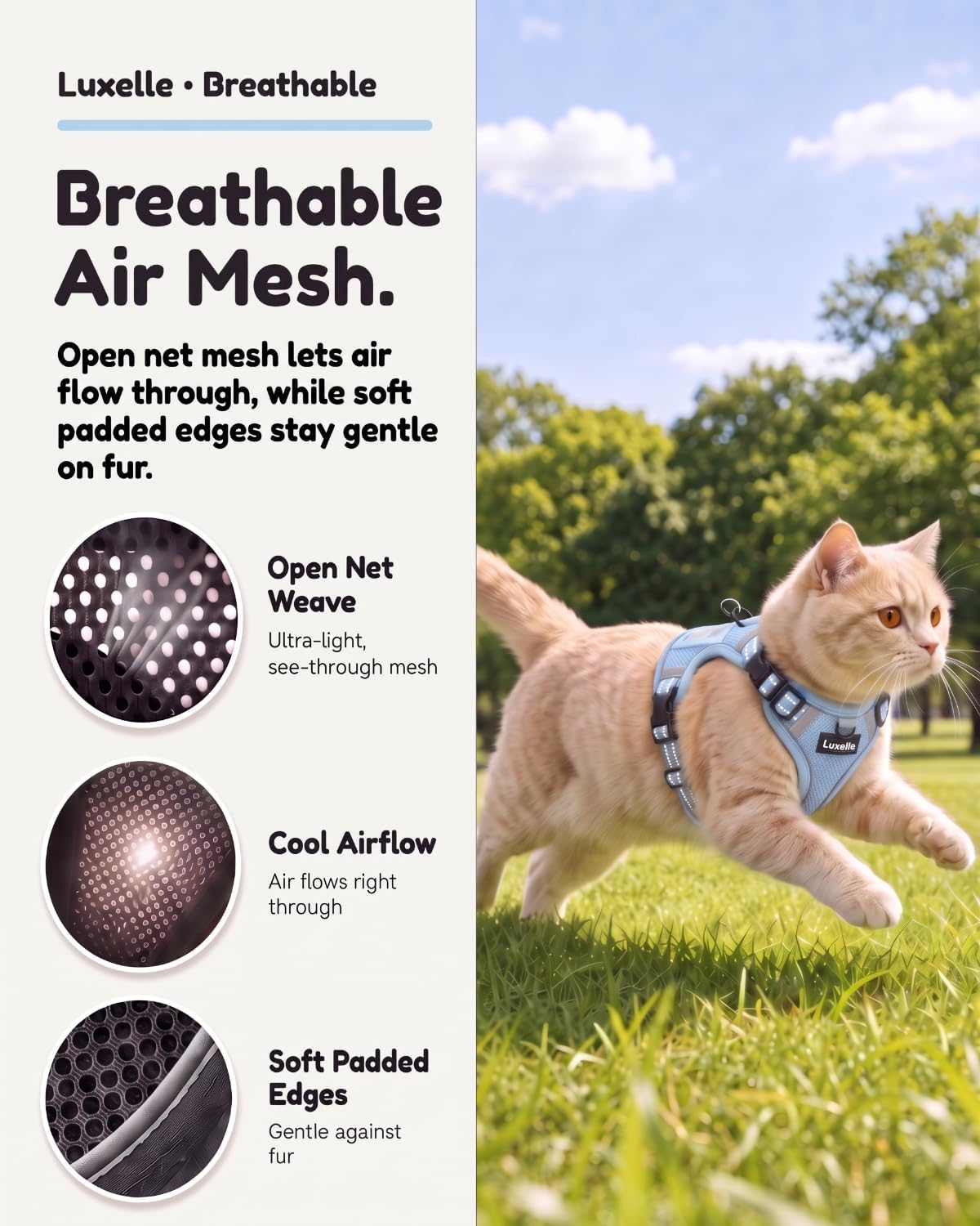 Luxelle Escape Proof Cat Harness with Retractable Leash & Wrist Strap Set