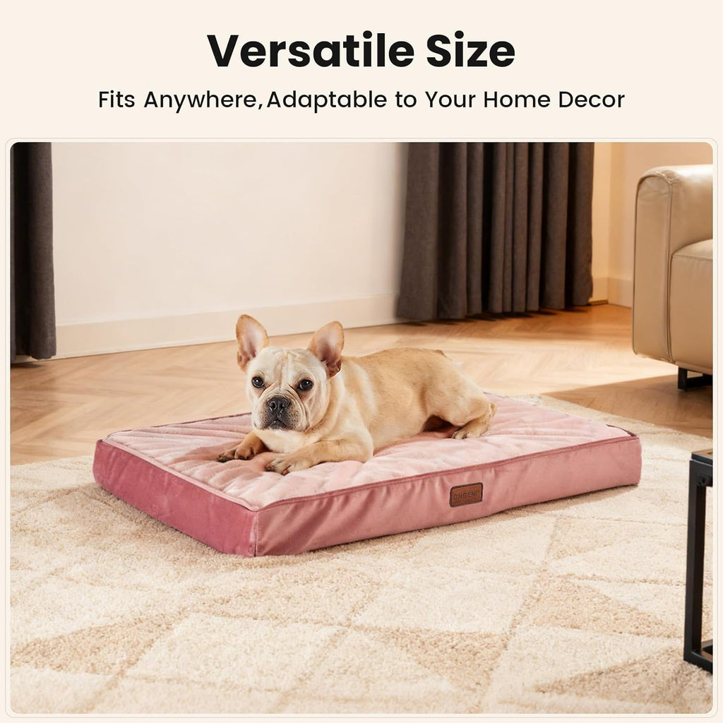 OhGeni Orthopedic Medium Dog Bed, Reversible Memory Foam, 30 inch-M(Pink)