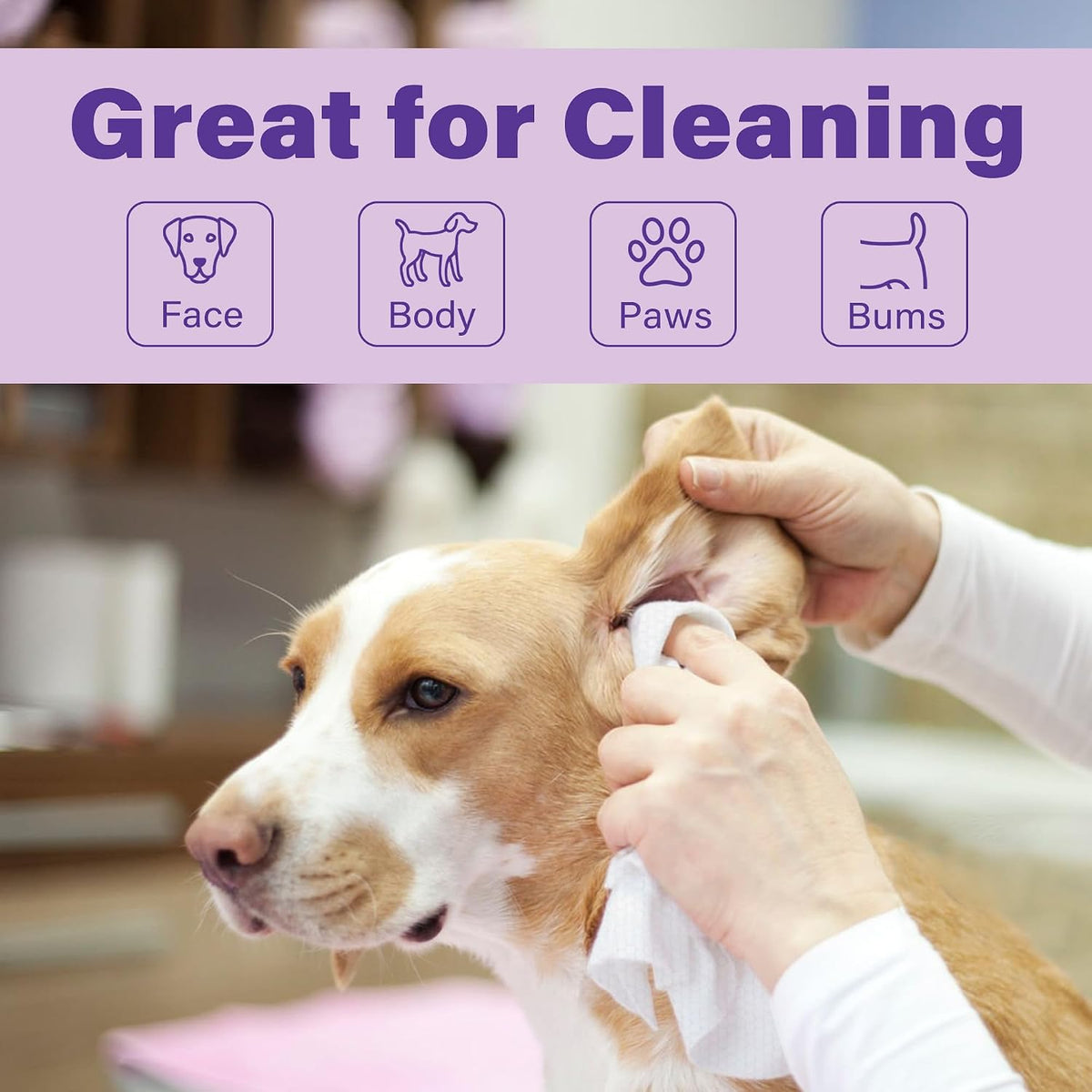 400PCS Dog Wipes for Paws and Butt, Large Pet Wipes for Dogs, Lavender | 8 x 8 Inch, Dog Wipes Cleaning Deodorizing, Hypoallergenic, Puppy Wipes for Grooming Face Fur Body