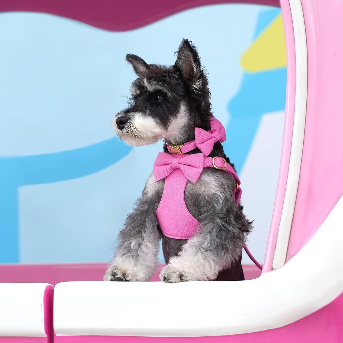 Beirui Cute Small Dog Harness Collar and Leash Set, Rose,S,Chest 17-23"