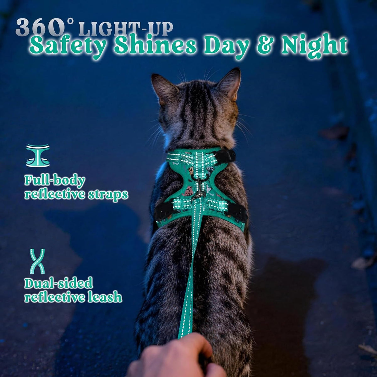 rabbitgoo Cat Harness and Leash Set, Easy-on with Neck Buckle, Kitty Grove
