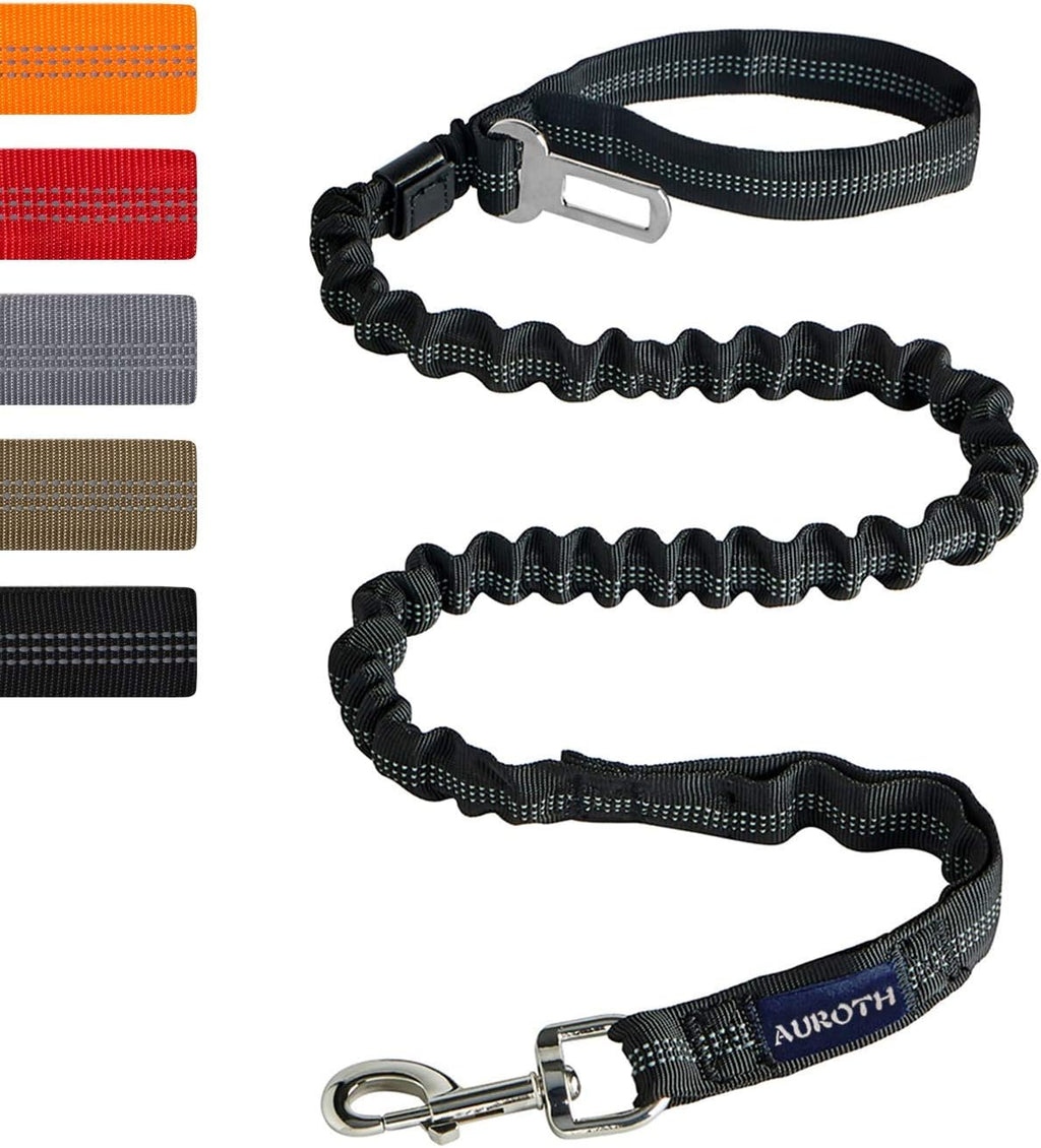AUROTH Bungee Dog Leash for Large Dogs, No Pull for Shock Absorption