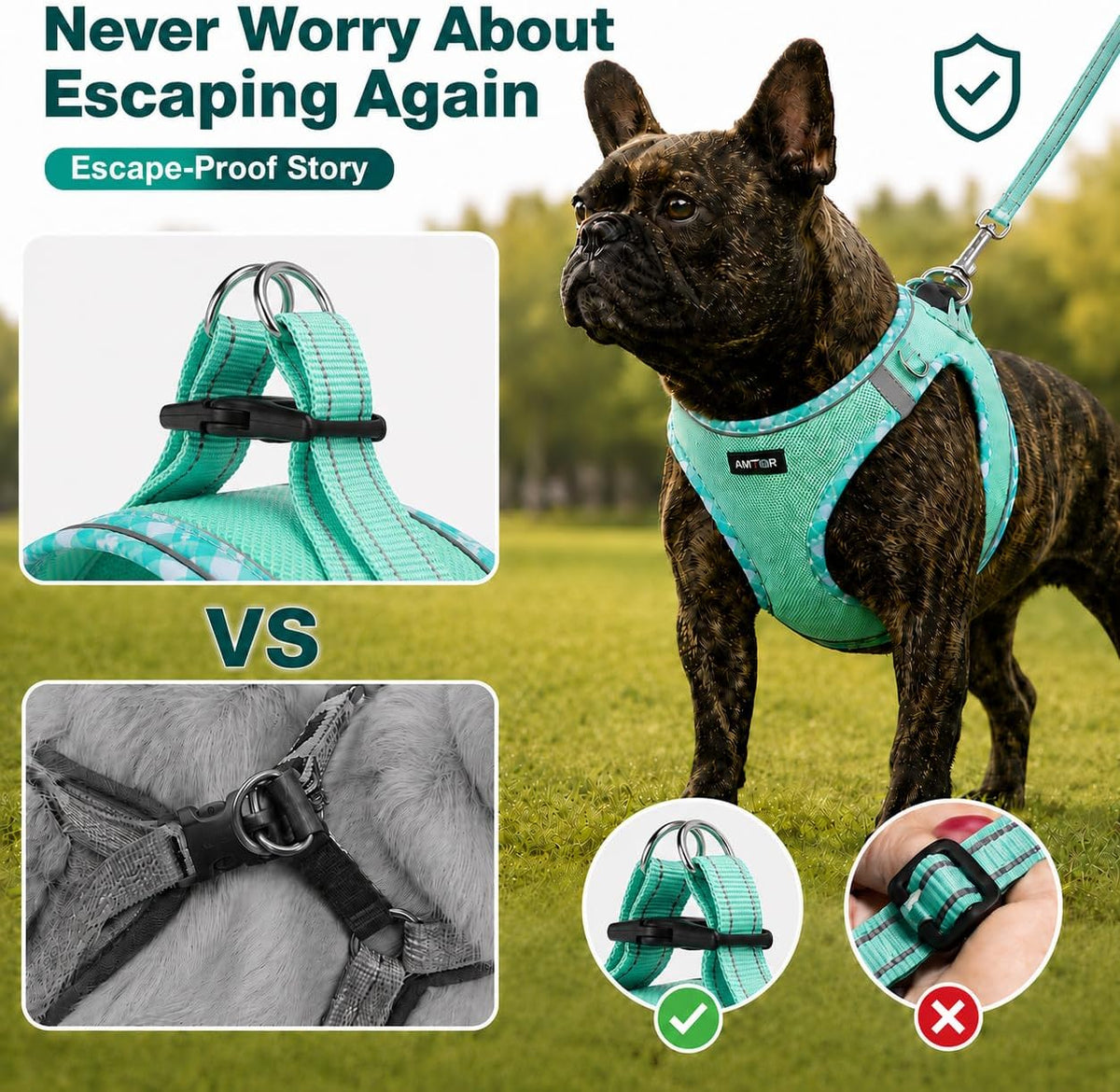 AMTOR Small Dog Harness with Leash Set, No Escape Easy Walk Puppy Harnesses for Training Walking, Step-in Reflective Soft Dogs Vest for XS S Medium Extra-Small Large Sized Dog(Green,S)