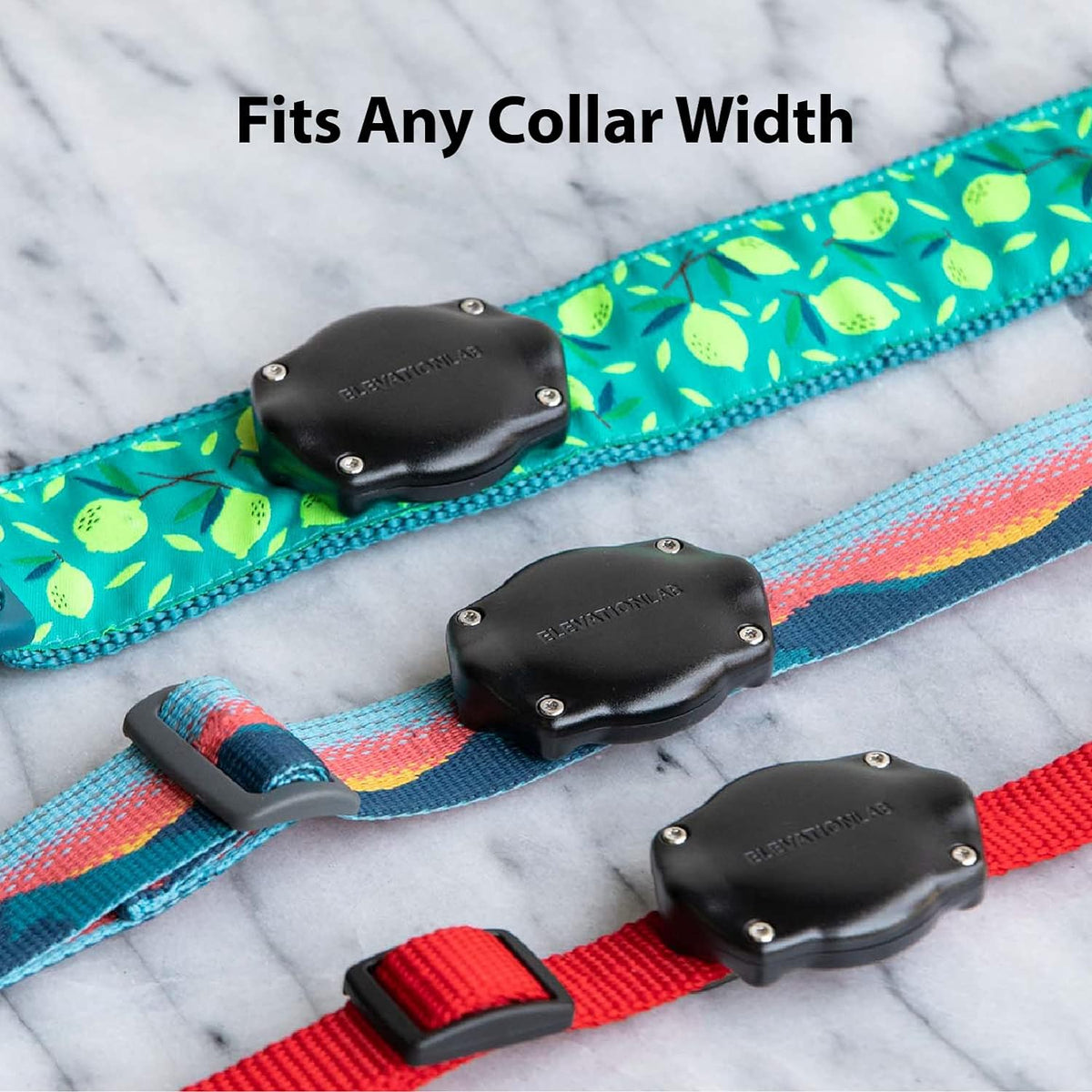Elevation Lab AirTag Dog Collar Holder - Waterproof (2 Pack)