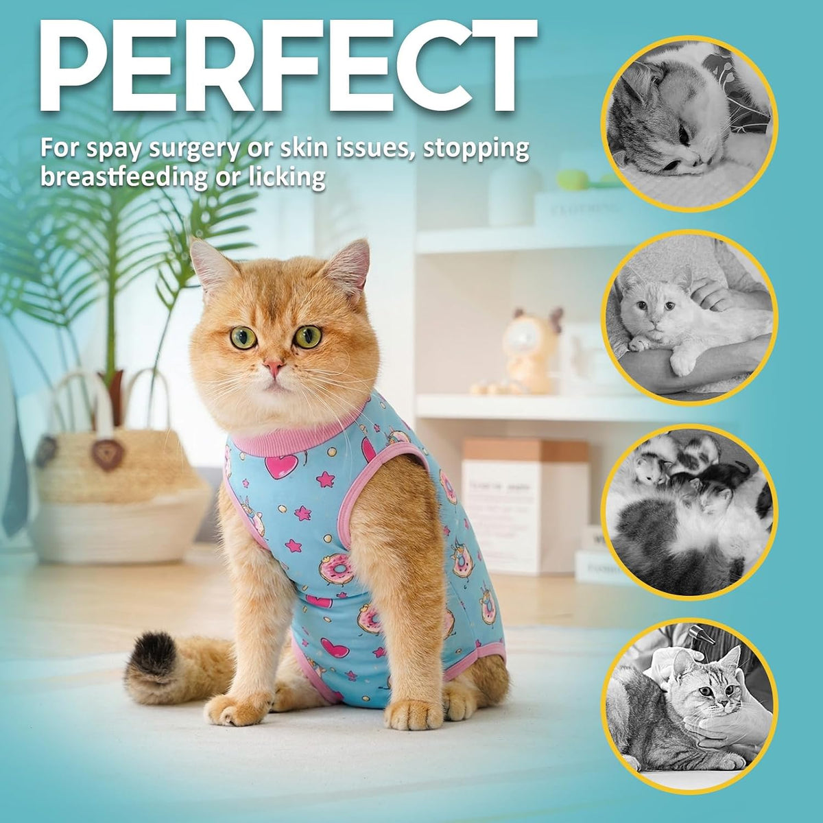 Avont Cat Recovery Suit - Kitten Onesie for Cats After Surgery