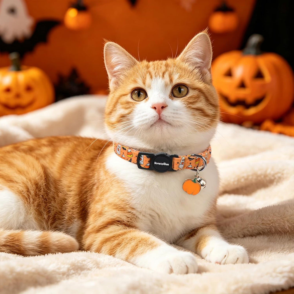 LIONET PAWS 2 Pack Breakaway Cat Collars, Cute Soft Cotton Halloween Orange Pumpkin Ghost & Fall Plaid Kitten Collars with Bell & Charm for Boy Girl Cats