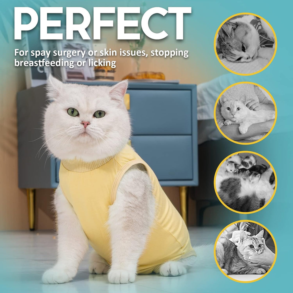 Avont Cat Recovery Suit - Kitten Onesie for Cats After Surgery