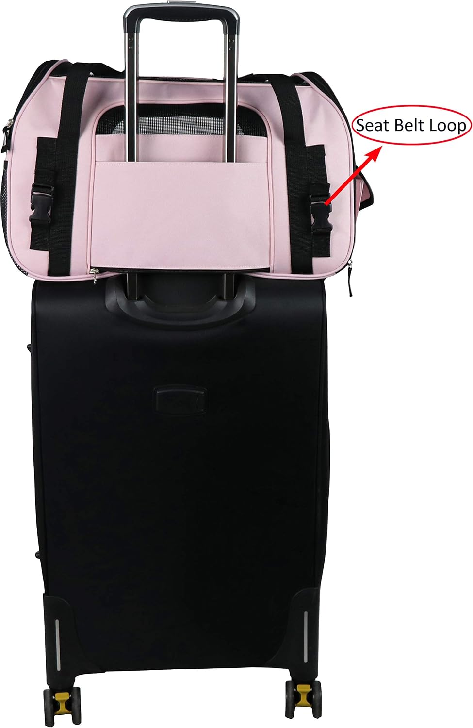 EliteField Soft-Sided Pet Carrier for Cats & Small Dogs (3-Year Warranty)