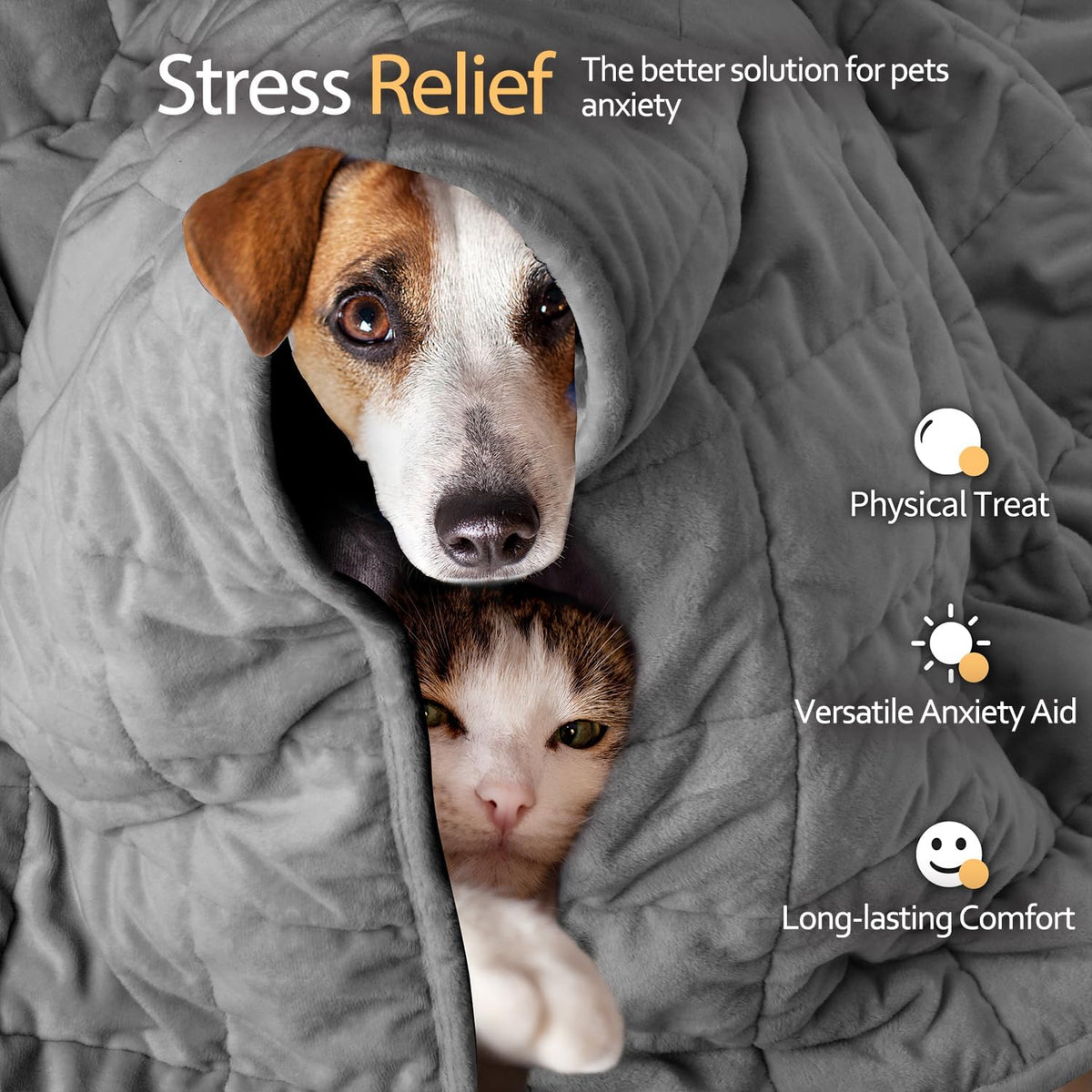 LaSyL Weighted Blanket for Pets | Thunder Blanket for Dogs Anxiety | Premium Soft Minky | Relaxation & Calming & Anti Anxiety | Used in Car, Bed, Couch | Dark Grey, Washable Medium (32"x40")