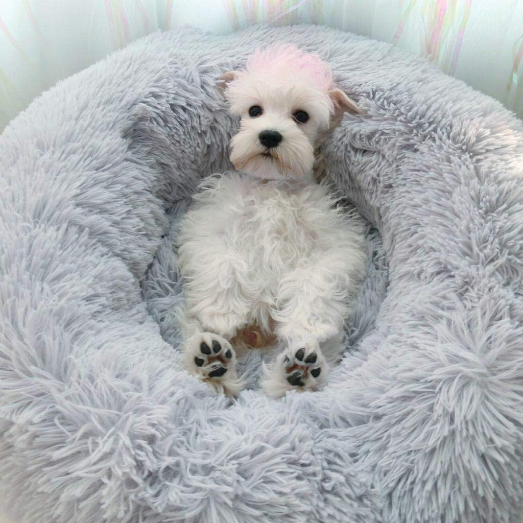 Dog Bed for Small Dogs & Cats, 24 Inch Medium Fluffy Washable Donut Bed