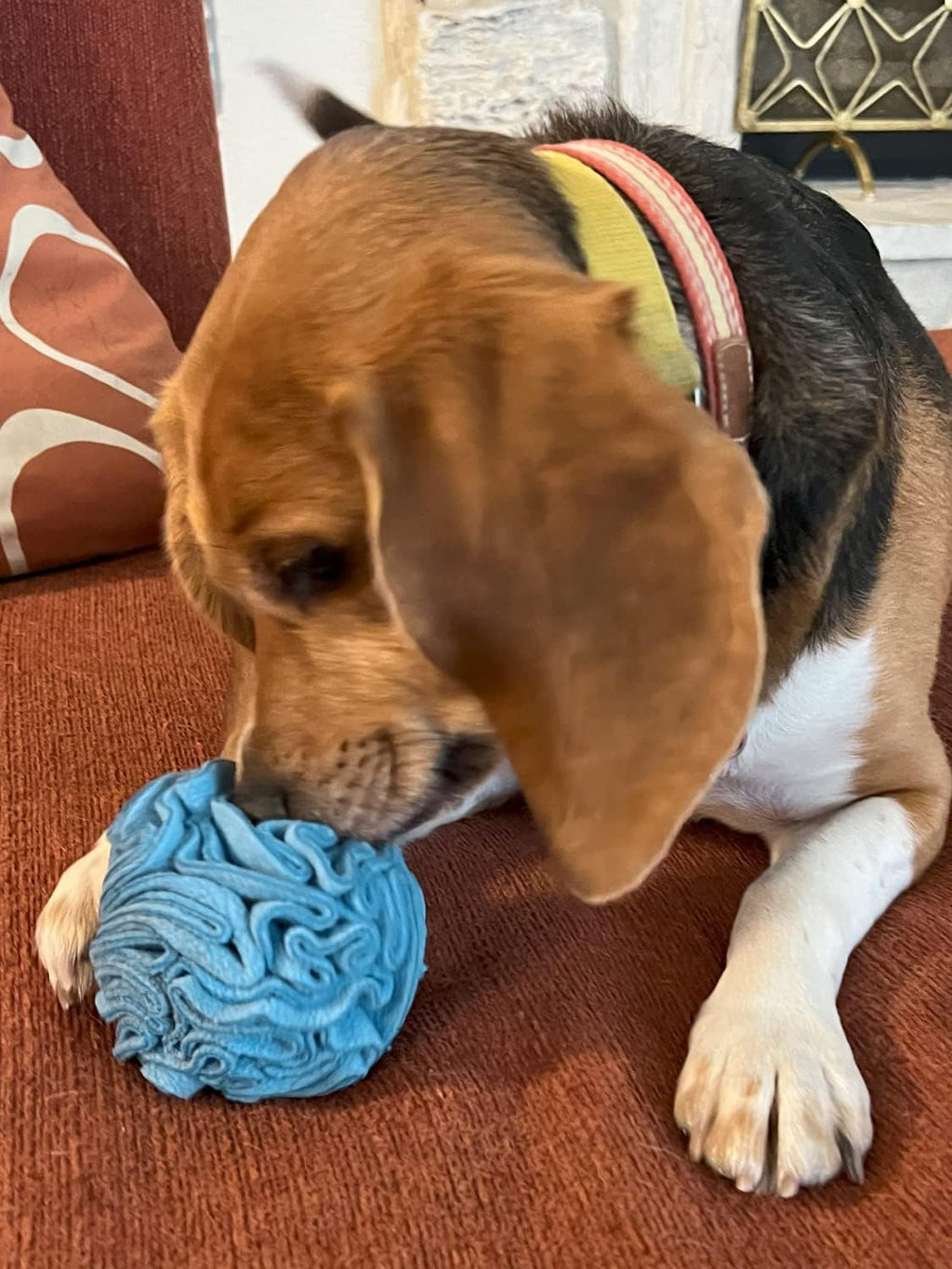 Glory To Dog Small Breed Snuffle Puzzle Ball Treat Foraging Dog Toy Blue