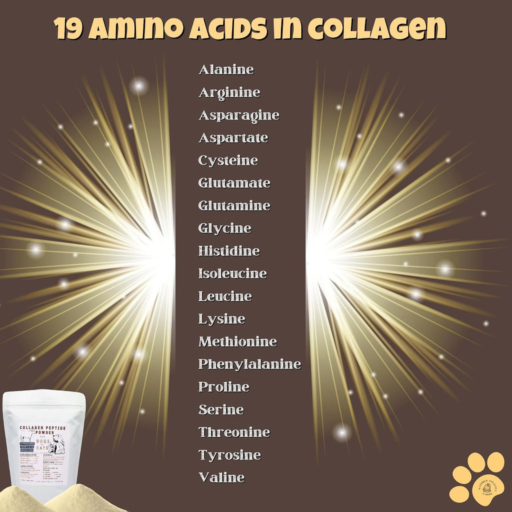 Collagen Peptide Powder for Dogs and Cats, Hydrolyzed, Grass Fed Beef, Pasture Raised Bovine, Hip and Joint Relief, Skin, Gut, and Bone Health Supplement.