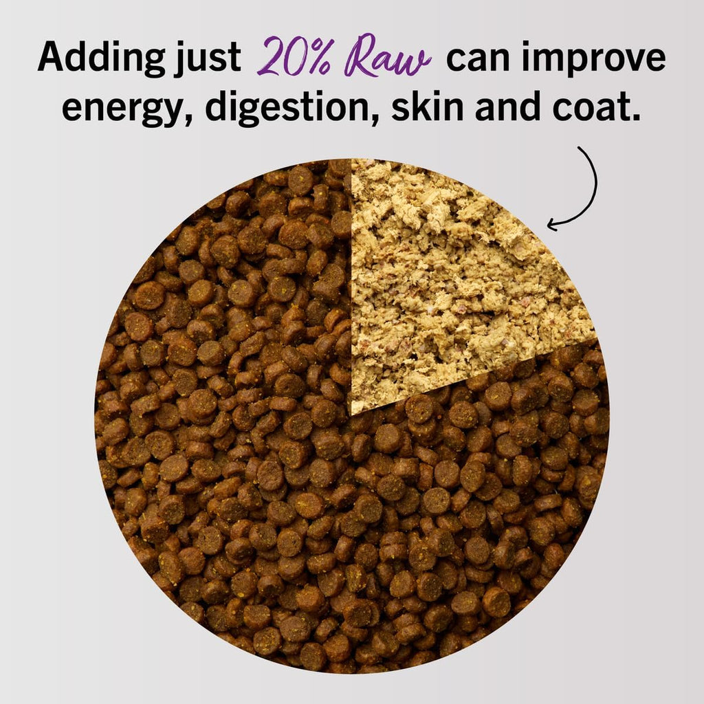 Stella & Chewy's Freeze-Dried Raw Cat Dinner Morsels - Premium Salmon & Chicken Recipe with 98% Wild-Caught & Cage-Free Protein - Natural Grain-Free Cat & Kitten Food - Made in USA - 3.5 oz