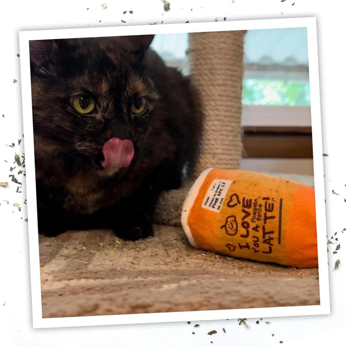 Meowijuana Fall Pumpkin Spice Latte Cat Toy and Blend Bundle | High-Potency