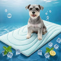 Cooling Mat for Dogs, 36"x23" Washable Pet Cooling Pad, Small & Medium Dogs